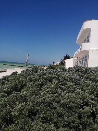 Apartamento 4 El Paraiso De Capitan Fernando Apartment Chelem Exterior photo